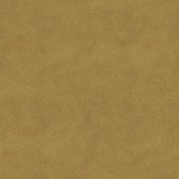 Asset preview